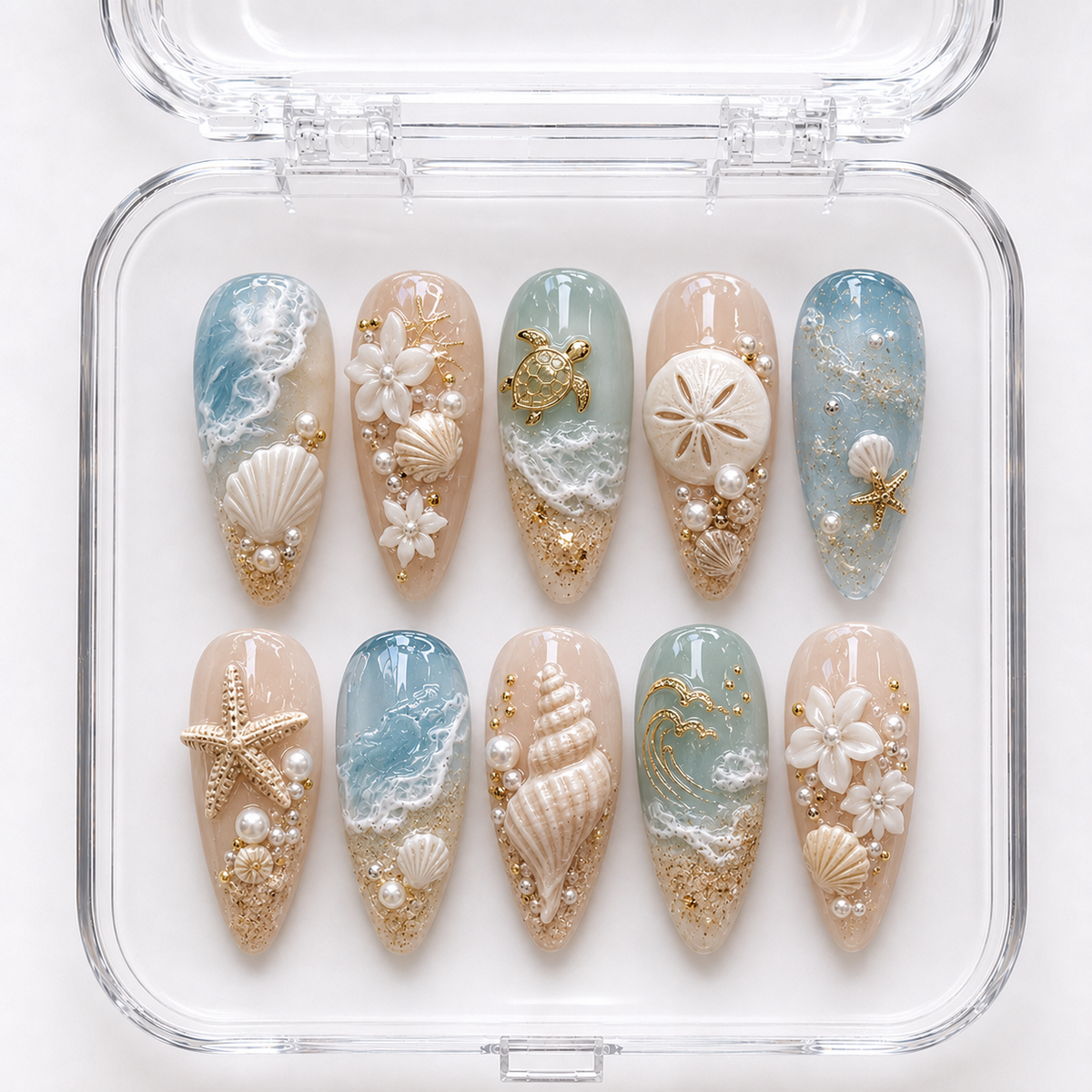 Beach & Seashell